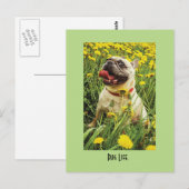 Pug Life Dog Briefkaart (Voorkant / Achterkant)