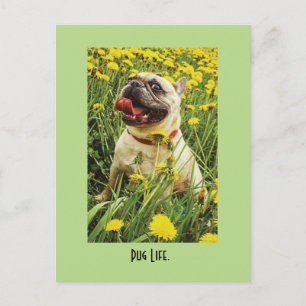 Pug Life Dog Briefkaart