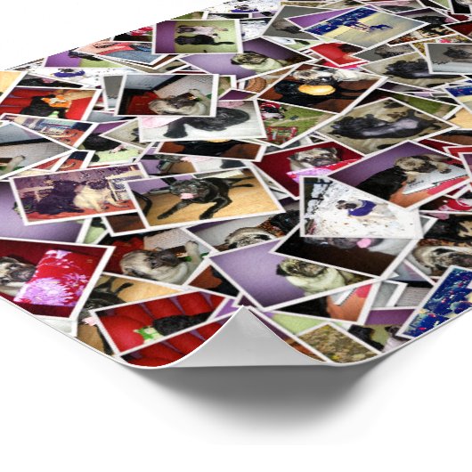 Pug Life Poster (Hoek)