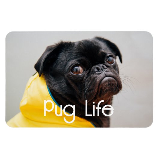 "Pug Life" Volledig bewerkbare fotomagneet Magneet (Horizontaal)