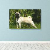 Pug Looking in camera Canvas Afdruk (Insitu (Houten vloer))
