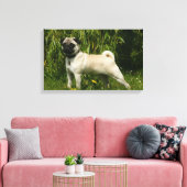 Pug Looking in camera Canvas Afdruk (Insitu (Woonkamer))