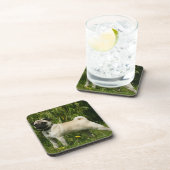 Pug Looking in camera Drankjes Onderzetter (Rechterzijde)