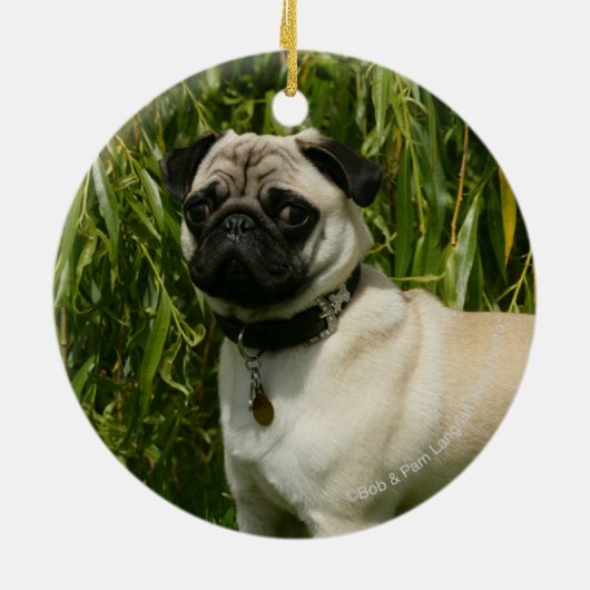 Pug Looking in camera Keramisch Ornament (Achterkant)