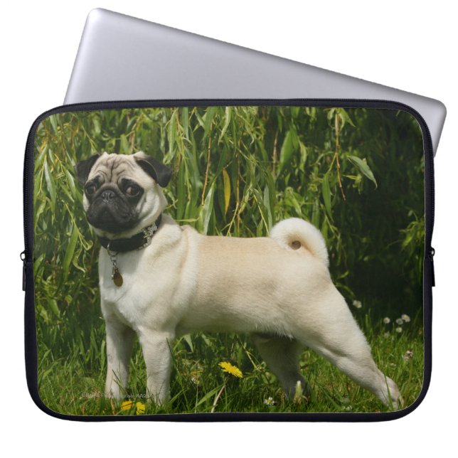 Pug Looking in camera Laptop Sleeve (Voorkant)