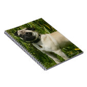 Pug Looking in camera Notitieboek (Rechterzijde)