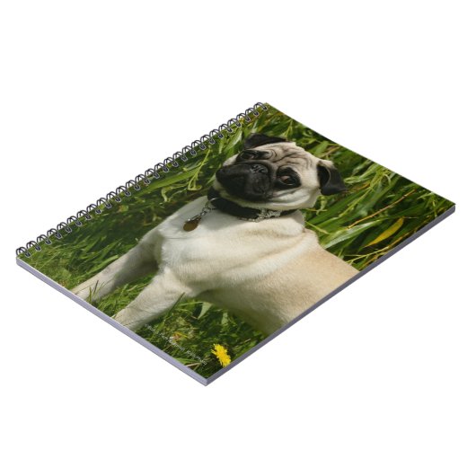 Pug Looking in camera Notitieboek (Linkerzijde)