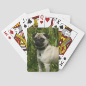 Pug Looking in camera Pokerkaarten (Achterkant)