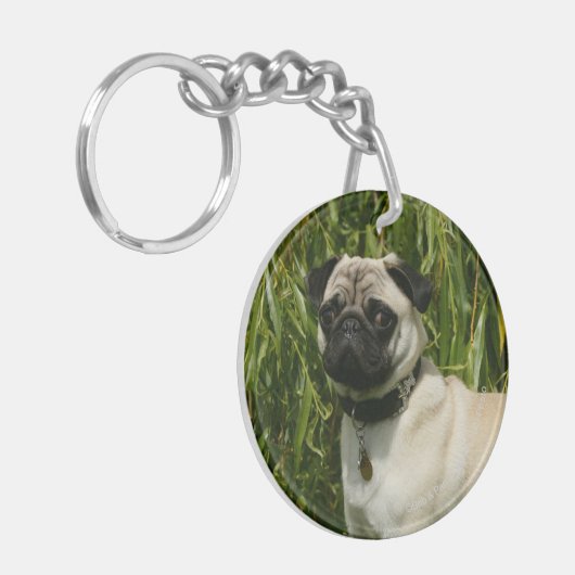 Pug Looking in camera Sleutelhanger (Voorkant Links)