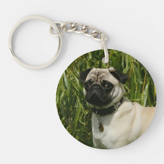 Pug Looking in camera Sleutelhanger (Voorkant)