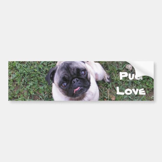 Pug Love Bumpersticker (Voorkant)