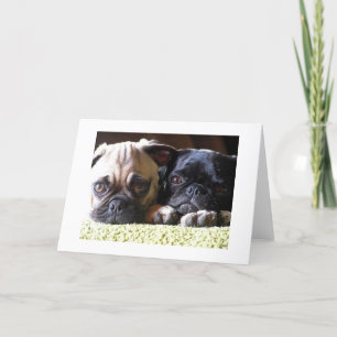Pug Love Note-kaarten Kaart