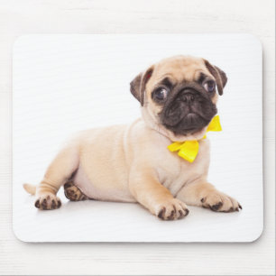 Pug Love Puppy Hond Met Gele Strik Muismat