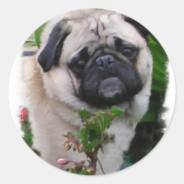 Pug Lovers Gifts Ronde Sticker
