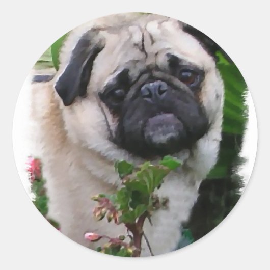 Pug Lovers Gifts Ronde Sticker (Voorkant)