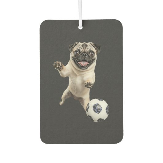 Pug luchtverfrisser (Voorkant)