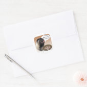 Pug (maaien) Turkije Ronde Sticker (Envelop)