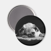 Pug magnet (Voorkant / Achterkant)