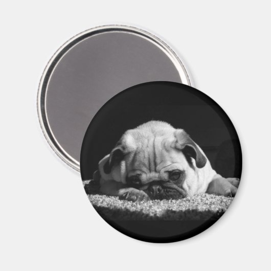 Pug magnet (Voorkant / Achterkant)