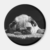 Pug magnet (Voorkant)