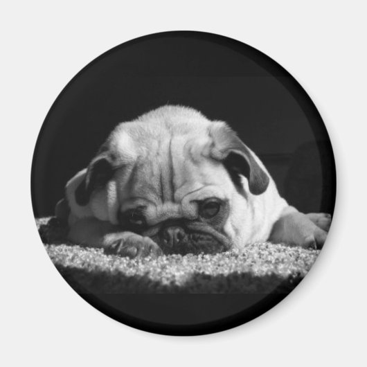 Pug magnet (Voorkant)