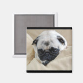 Pug Magnet (Voorkant / Achterkant)