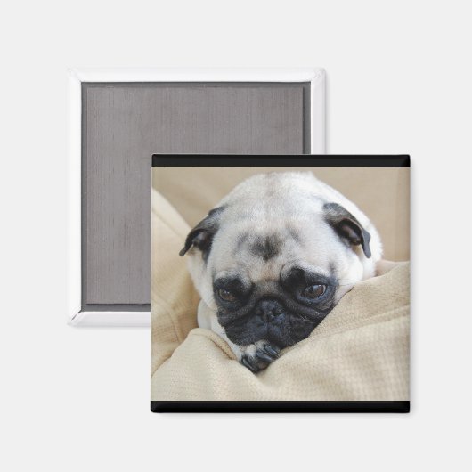 Pug Magnet (Voorkant / Achterkant)