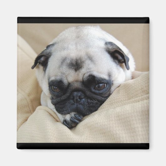 Pug Magnet (Voorkant)