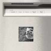 Pug magnet (Insitu (Vaatwasser))