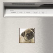 Pug Magnet (Insitu (Vaatwasser))