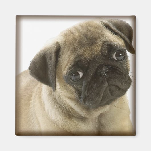 Pug Magnet (Voorkant)