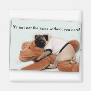 pug magnet