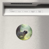 Pug Magnet (Insitu (Vaatwasser))