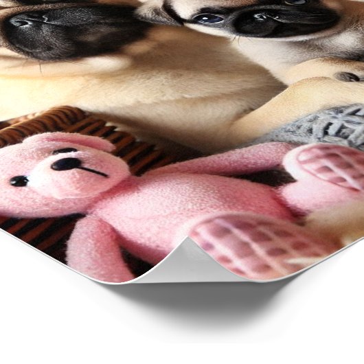 Pug mama en haar puppy poster (Hoek)