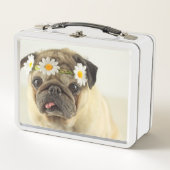 Pug met Daisy Crown (Voorkant)