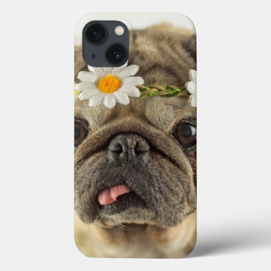 Pug met Daisy Crown Case-Mate iPhone Case (Achterkant)