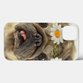 Pug met Daisy Crown Case-Mate iPhone Case (Achterkant (horizontaal))