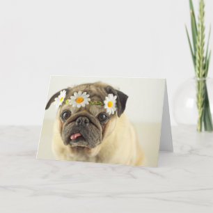 Pug met Daisy Crown Kaart