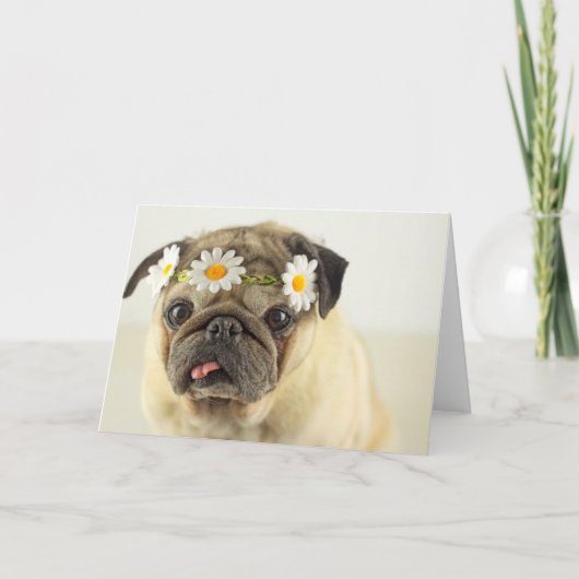 Pug met Daisy Crown Kaart (Voorkant)