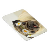 Pug met Daisy Crown Magneet (Rechterzijde)