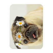 Pug met Daisy Crown Magneet (Verticaal)