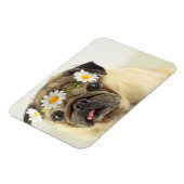 Pug met Daisy Crown Magneet (Linkerzijde)