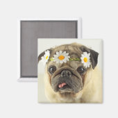 Pug met Daisy Crown Magneet (Voorkant / Achterkant)