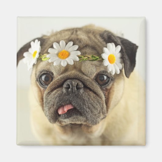 Pug met Daisy Crown Magneet (Voorkant)