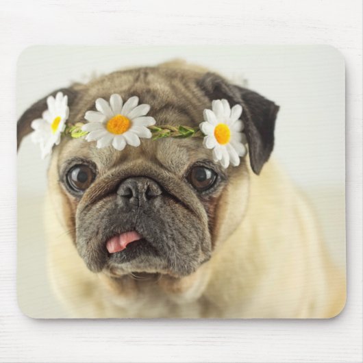 Pug met Daisy Crown Muismat (Voorkant)