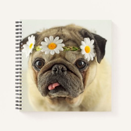 Pug met Daisy Crown Notitieboek (Voorkant)
