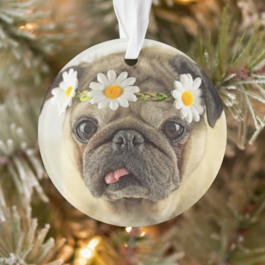 Pug met Daisy Crown Ornament (Boom)