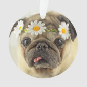 Pug met Daisy Crown Ornament (voorkant)