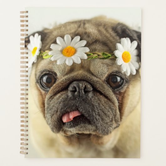 Pug met Daisy Crown Planner (Voorkant)