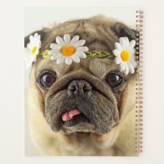 Pug met Daisy Crown Planner (Achterkant)